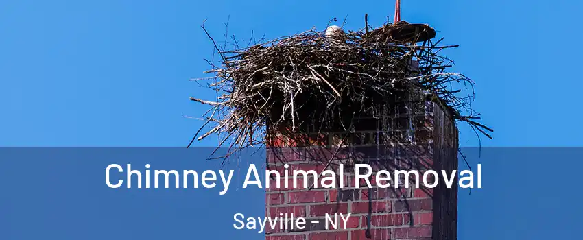 Chimney Animal Removal Sayville - NY