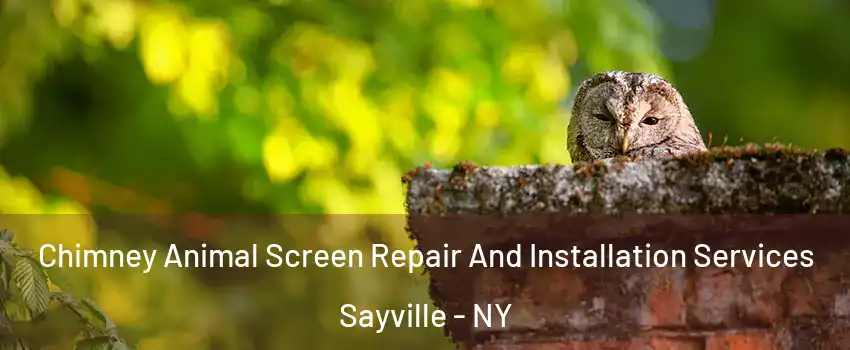  Chimney Animal Screen Repair And Installation Services Sayville - NY
