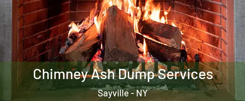 Chimney Ash Dump Services Sayville - NY