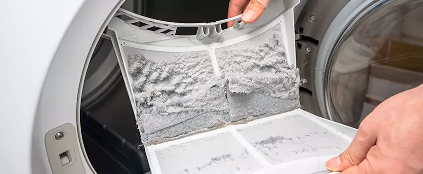 Best Dryer Lint Removal Company in Sayville, New York